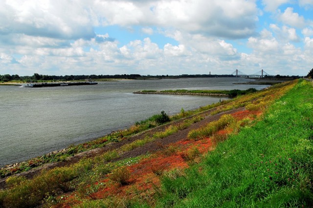 Kouweklauwen-028-Martinus_Nijhoff_brug_bij_Zaltbommel.png