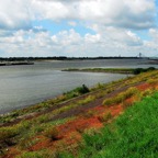 Kouweklauwen-028-Martinus_Nijhoff_brug_bij_Zaltbommel.png