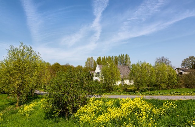 Kouweklauwen-008-Kornedijk,_Buren_Betuwe.png